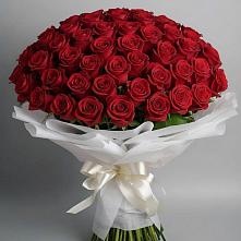 Букет 101 Красная роза Блэк Мэджик в Красном Пахаре