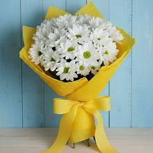 Букет цветов из:  Хризантемы в Красном Пахаре