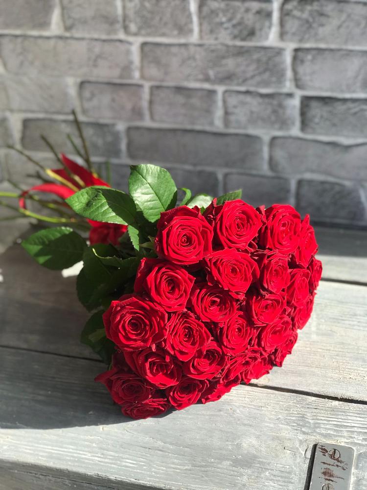 Букет Красные розы Фридом в Красном Пахаре