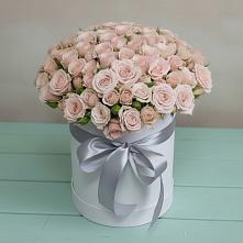 Цветочная композиция из Розы в шляпной коробке в Красном Пахаре