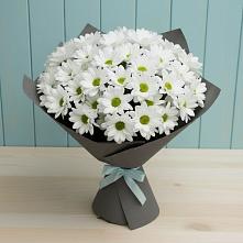 Букет цветов из:  Хризантемы #REPLACE_PRED# Красном Пахаре