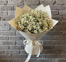 Букет цветов из:  Ромашки в Красном Пахаре