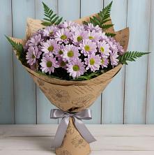 Букет цветов из:  Хризантемы в Красном Пахаре