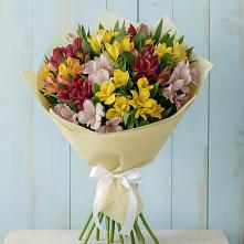 Букет цветов из:  Альстромерии в Красном Пахаре