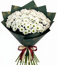 Букет цветов из:  Хризантемы в Красном Пахаре