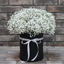 Цветочная композиция из Гипсофила в шляпной коробке #REPLACE_PRED# Красном Пахаре