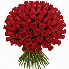Букет Красные розы Чери Лав #REPLACE_PRED# Красном Пахаре