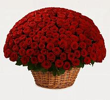 Премиум букет из: Розы в Красном Пахаре